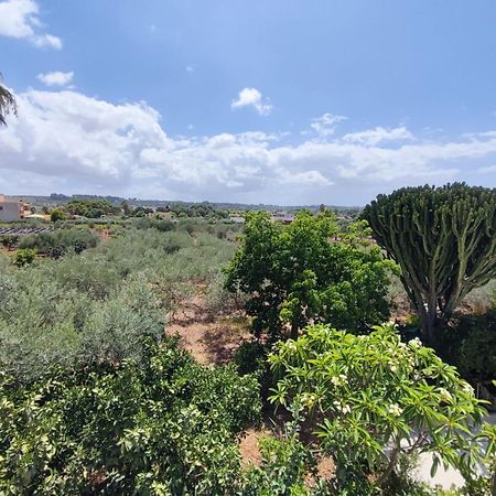 L'Araucaria Bnb Marsala Exterior foto